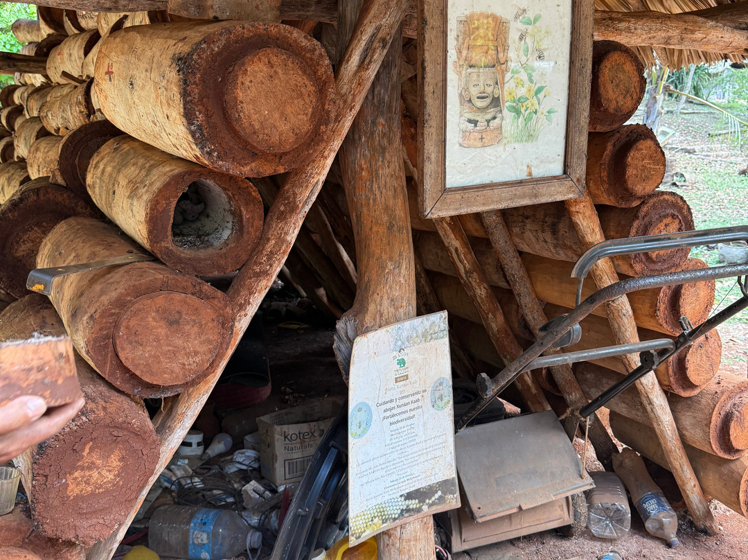 Meliponario "u Naajil Yuum K'iin"-Mani必去景点