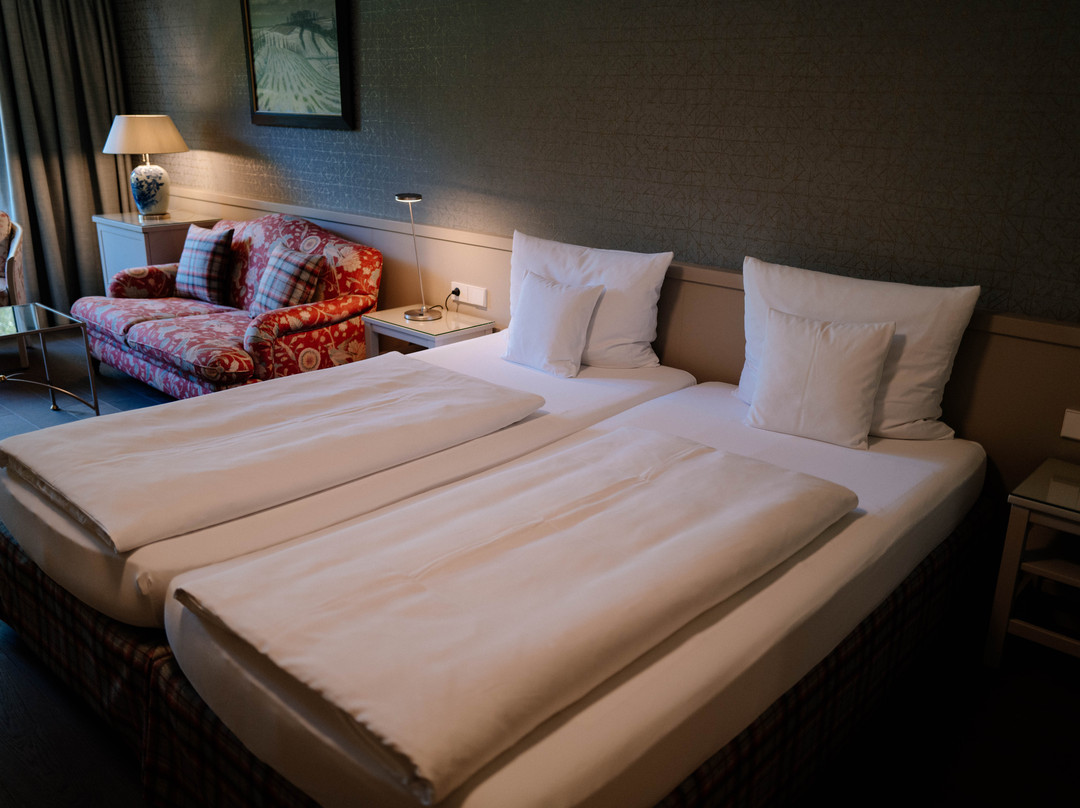 Hotel Krone主图