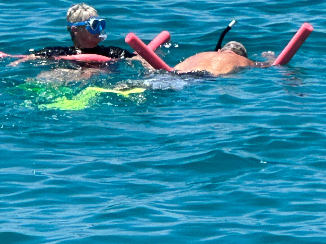 1770reef-1770镇必去景点