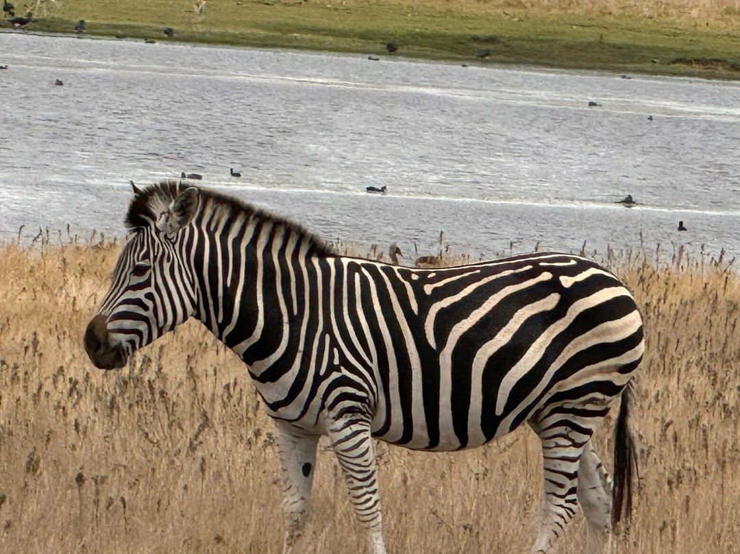 Villiera Wines-Koelenhof必去景点