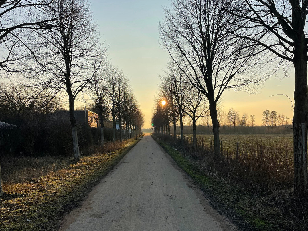 Falknerei Pierre Schmidt-Erftstadt必去景点