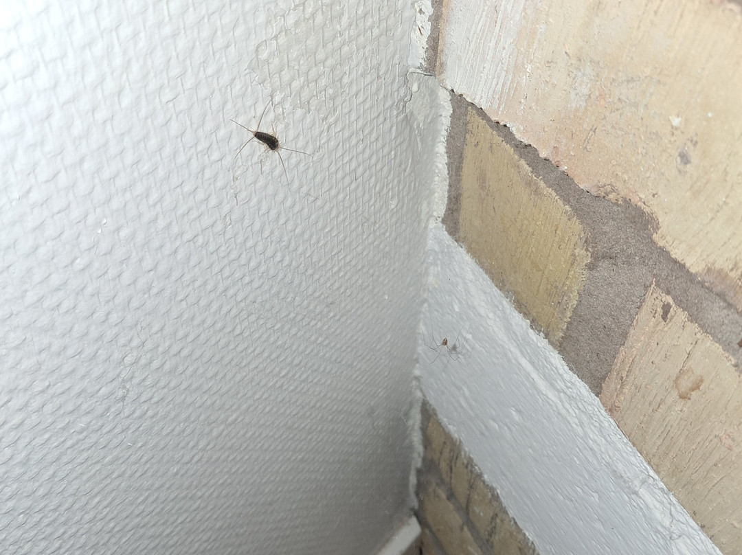 索尔罕公园酒店