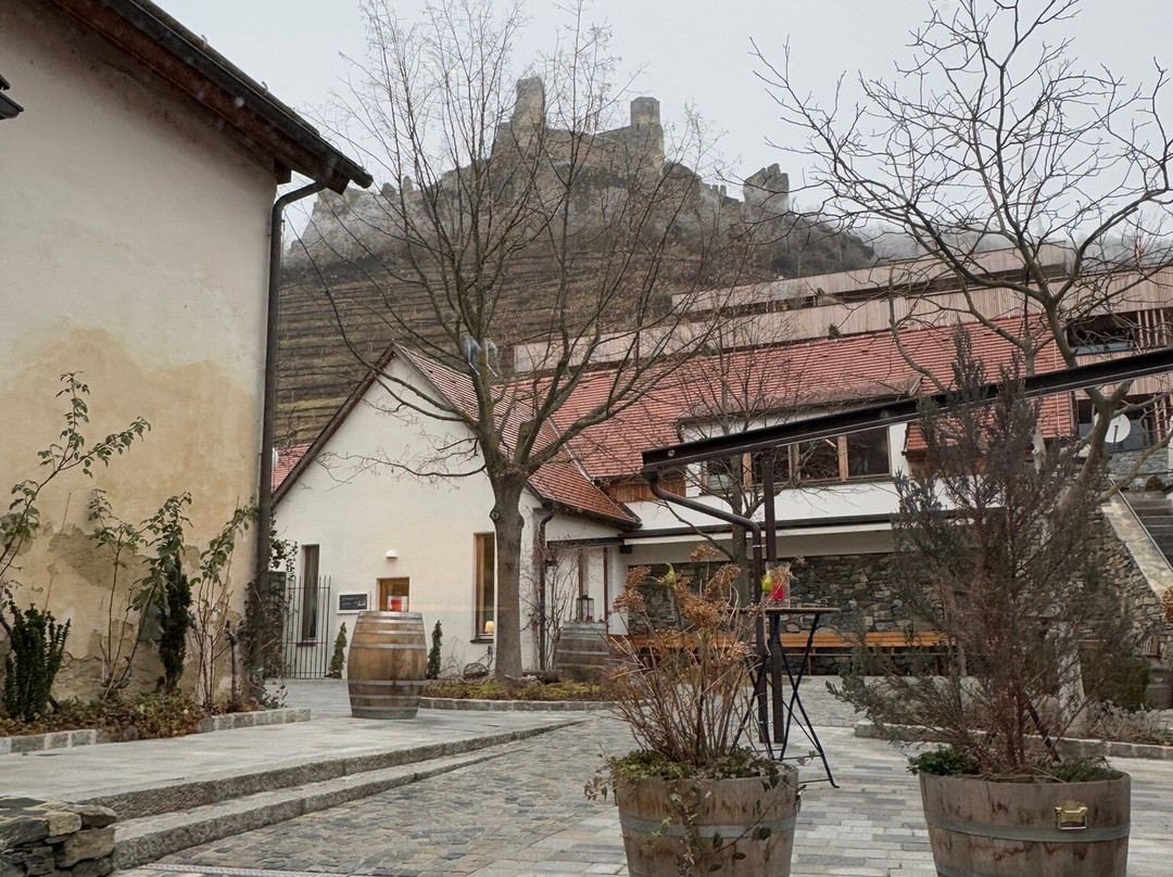 Weingut Nigl-Senftenberg必去景点