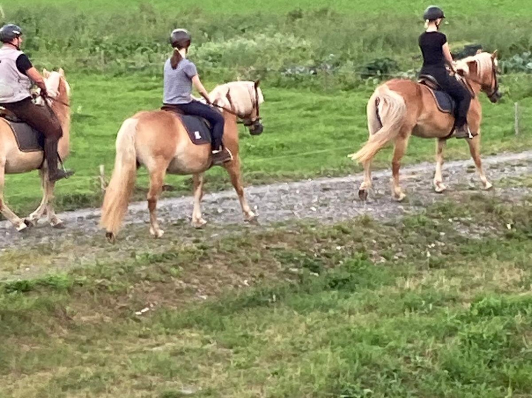 Bio Bauernhof Knaller主图