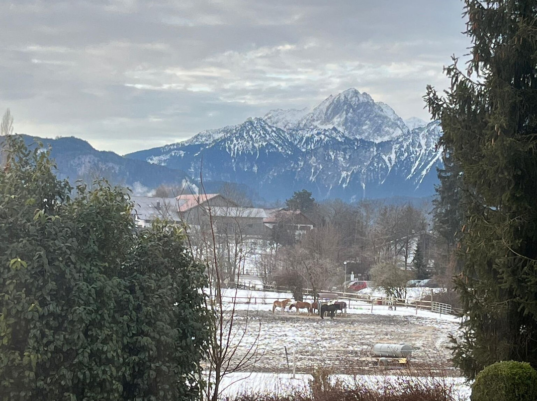 科索尔兰德之家酒店主图