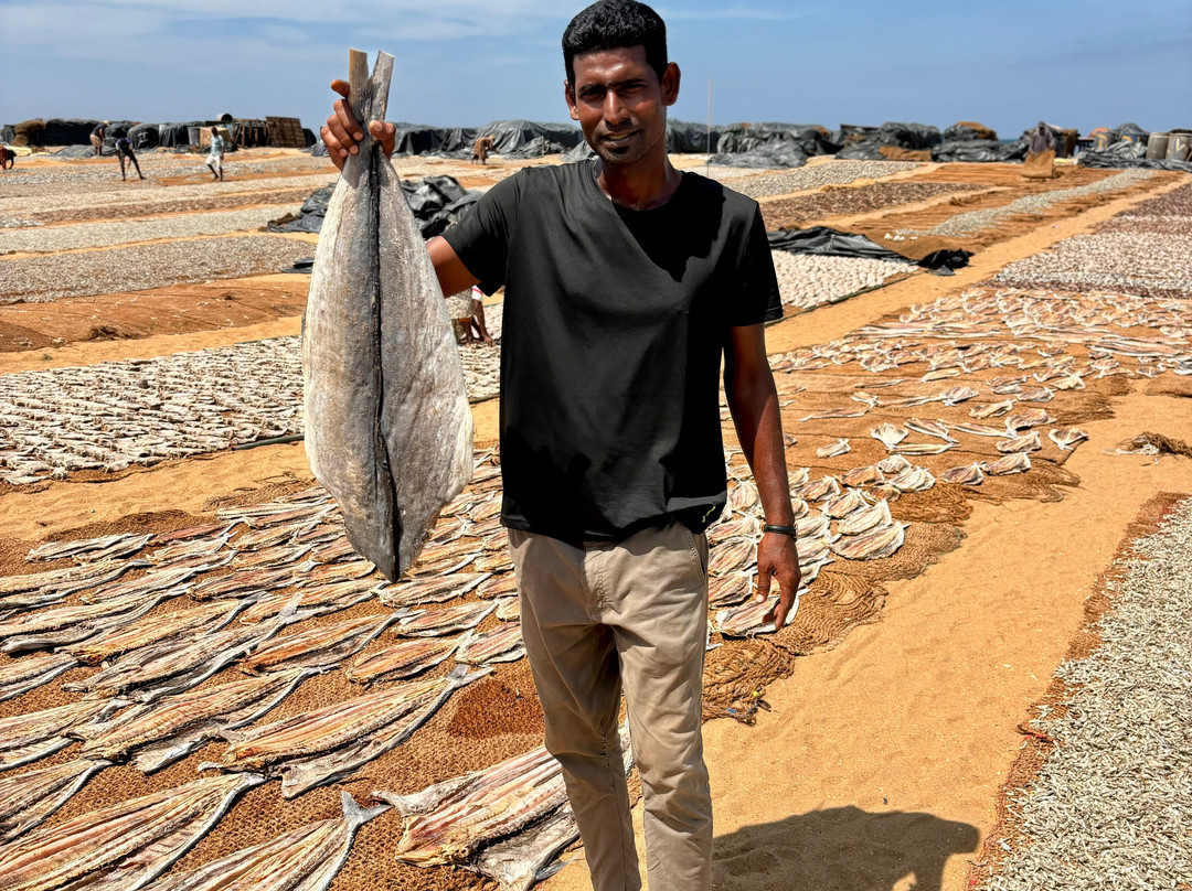 Travel with Wijaya-科伦坡必去景点