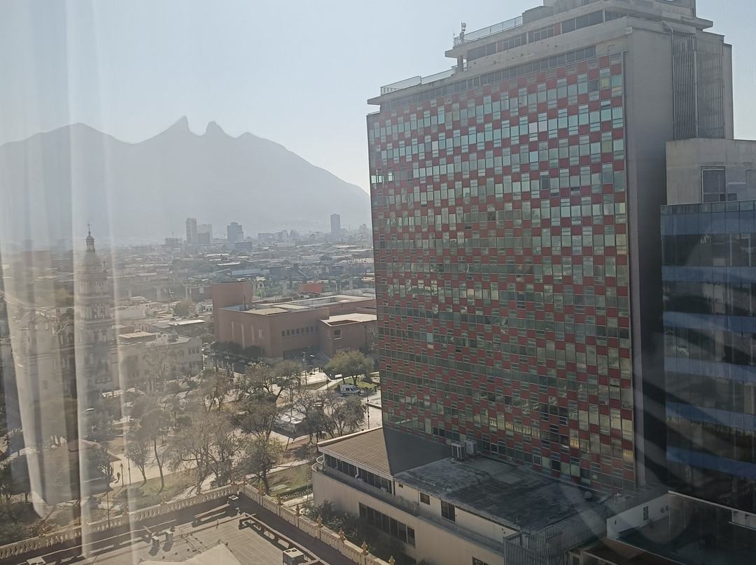 Krystal Monterrey主图