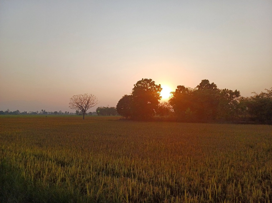 Sukhothai Bicycle Tour景点图片