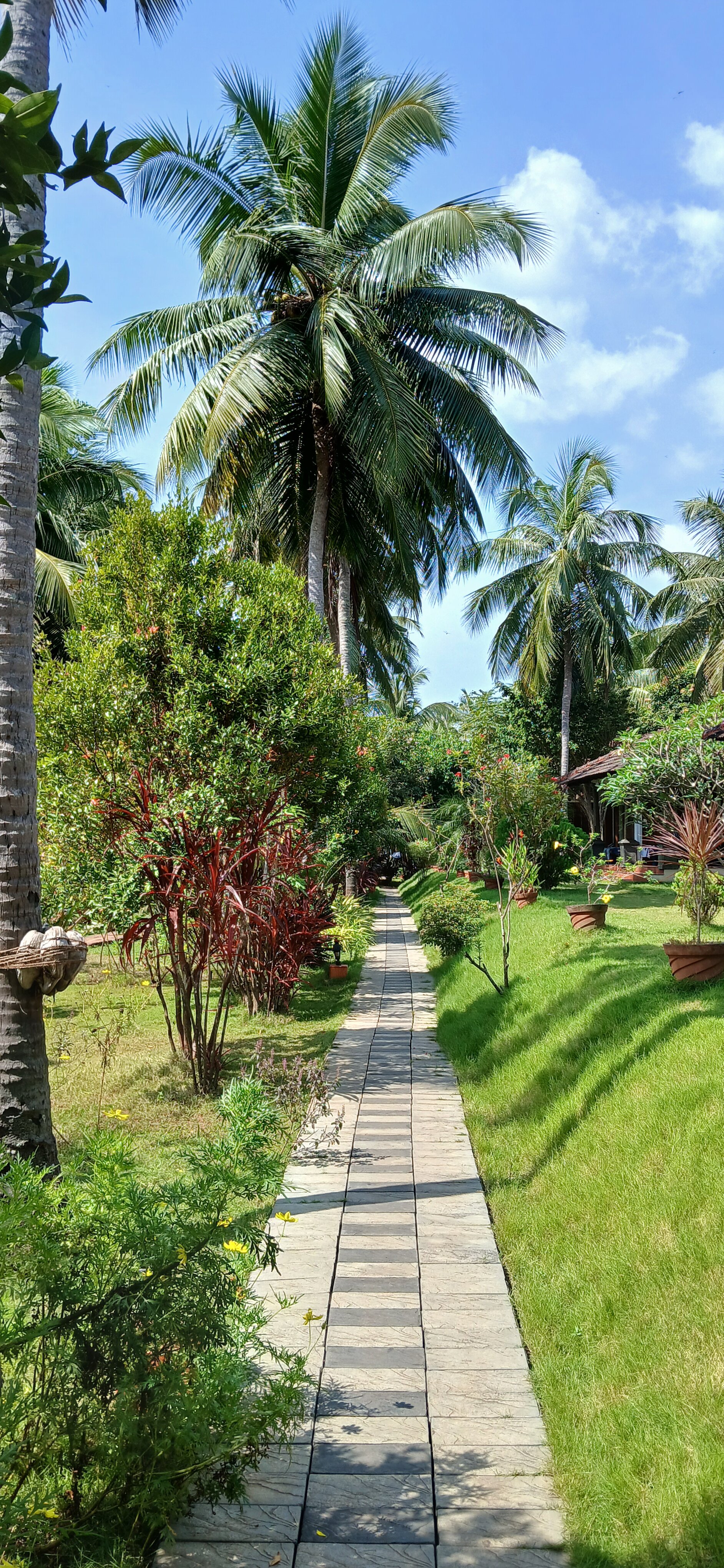 Meiveda Ayurveda Beach Resort-浴室