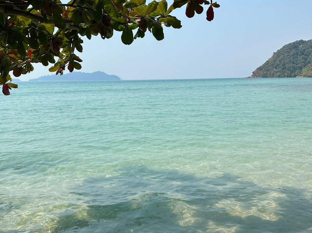 Long Beach-阁仓必去景点