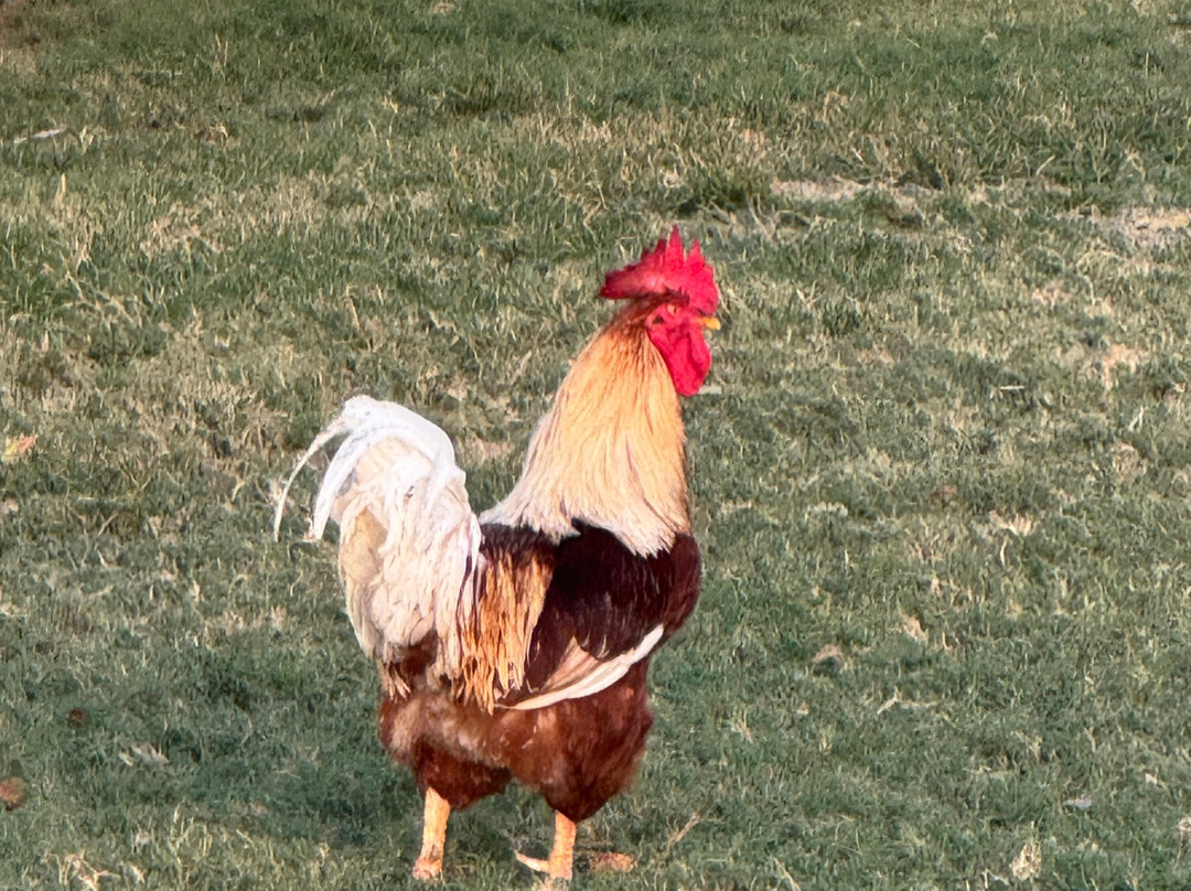 Ikarus Kiteboard Mexico-女人海滩必去景点