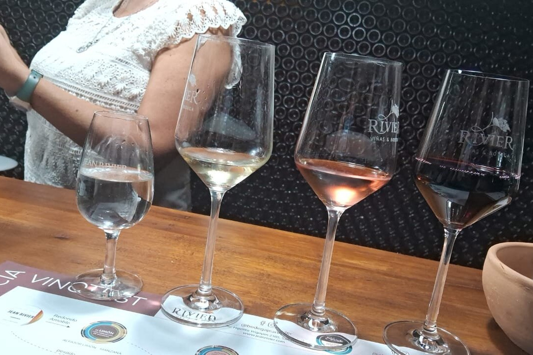 Bodega Jean Rivier-圣拉斐尔必去景点