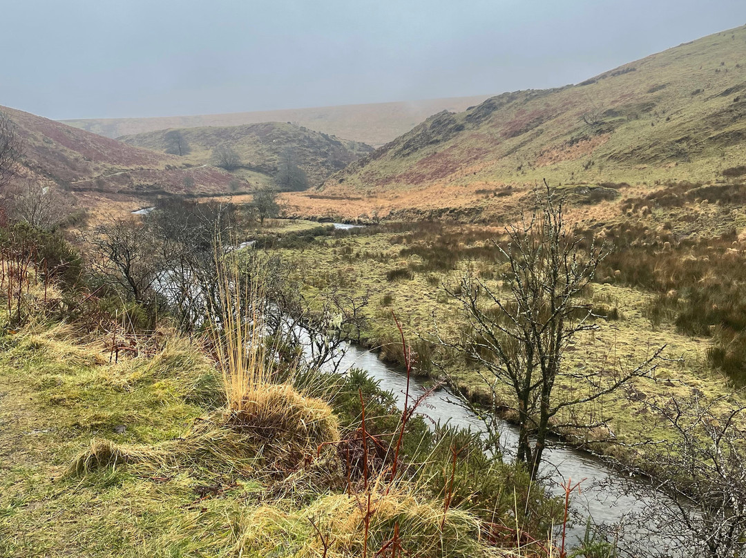 Exmoor Forest Inn主图