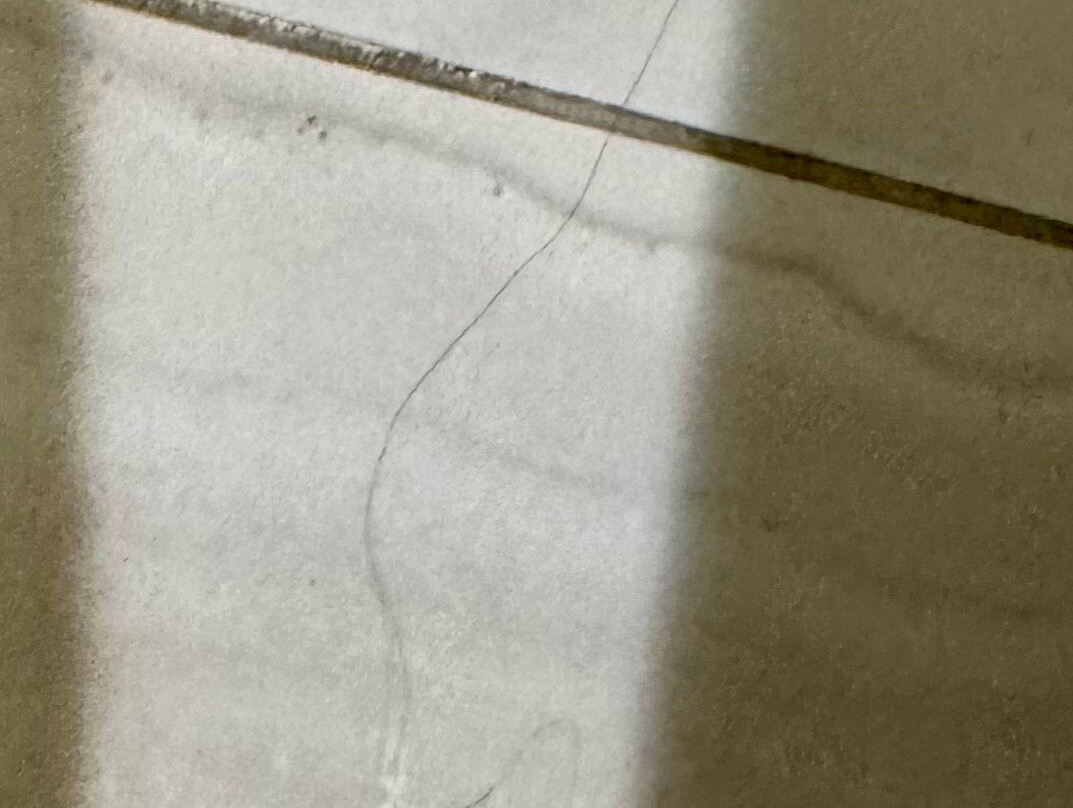 DoubleTree by Hilton Hotel Winston Salem - University主图