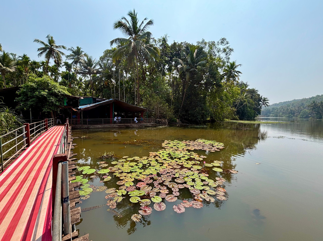 Tvoy Goa Surya Travels-坎多林必去景点