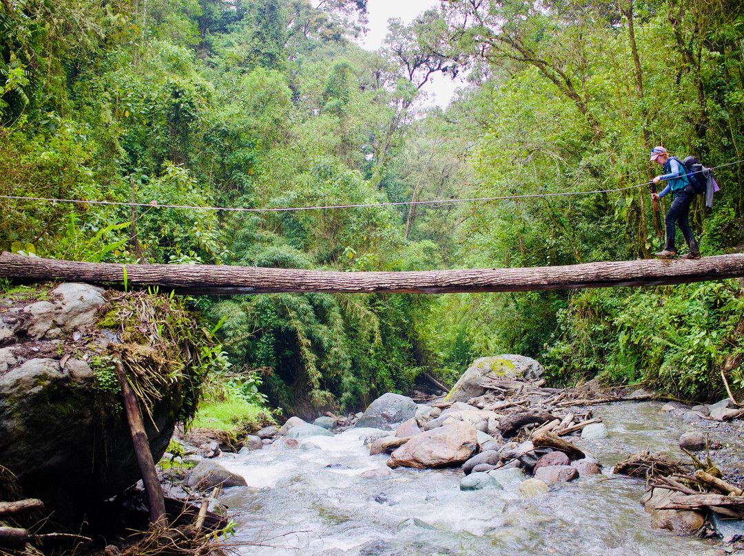 Paramo Trek Salento景点图片