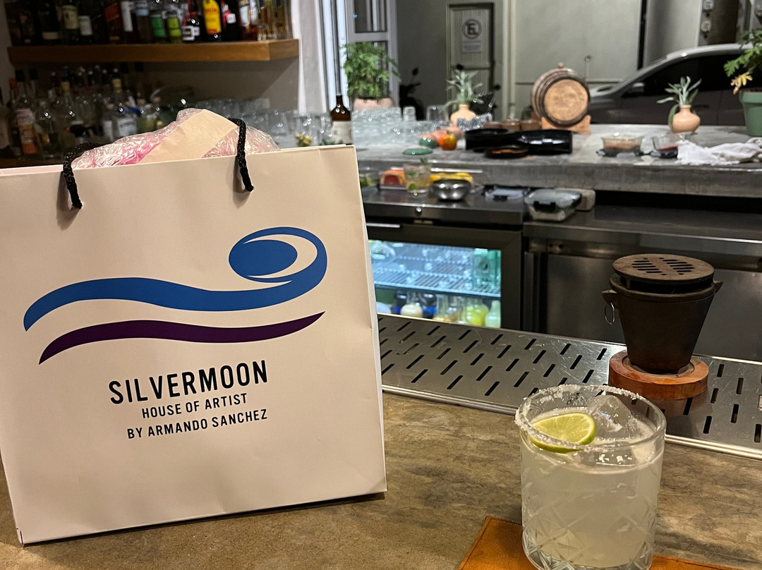 Sillvermoon Gallery-圣何塞卡波必去景点