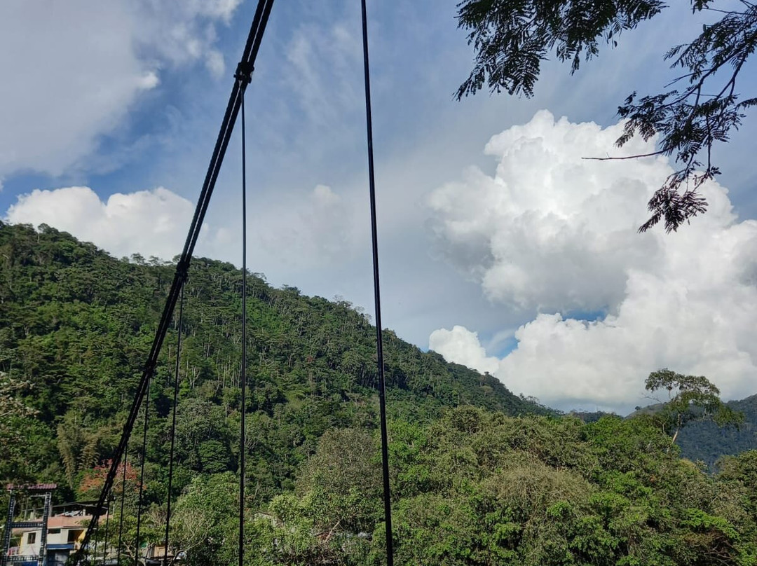 Parque Nacional Tingo Maria-Huanuco必去景点