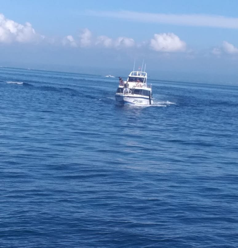 Ray Fish Fast Cruises-Sanur Kauh必去景点