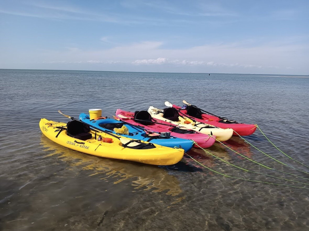 Nature Trails Kayaking-科珀斯克里斯蒂市必去景点