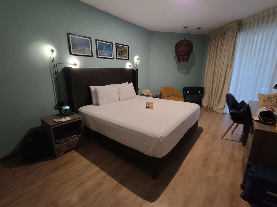 Casa Andina Select Paracas主图