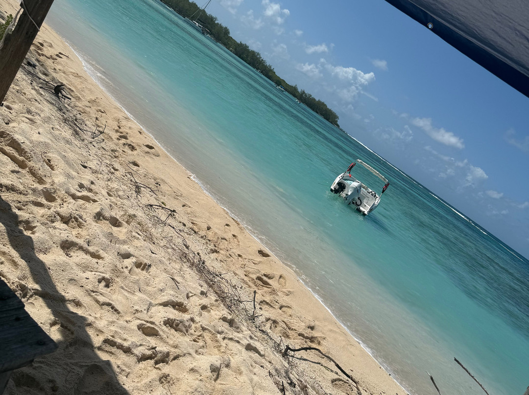 Sea Serenity Excursions景点图片