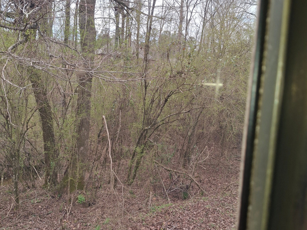Heart of Dixie Railroad Museum景点图片