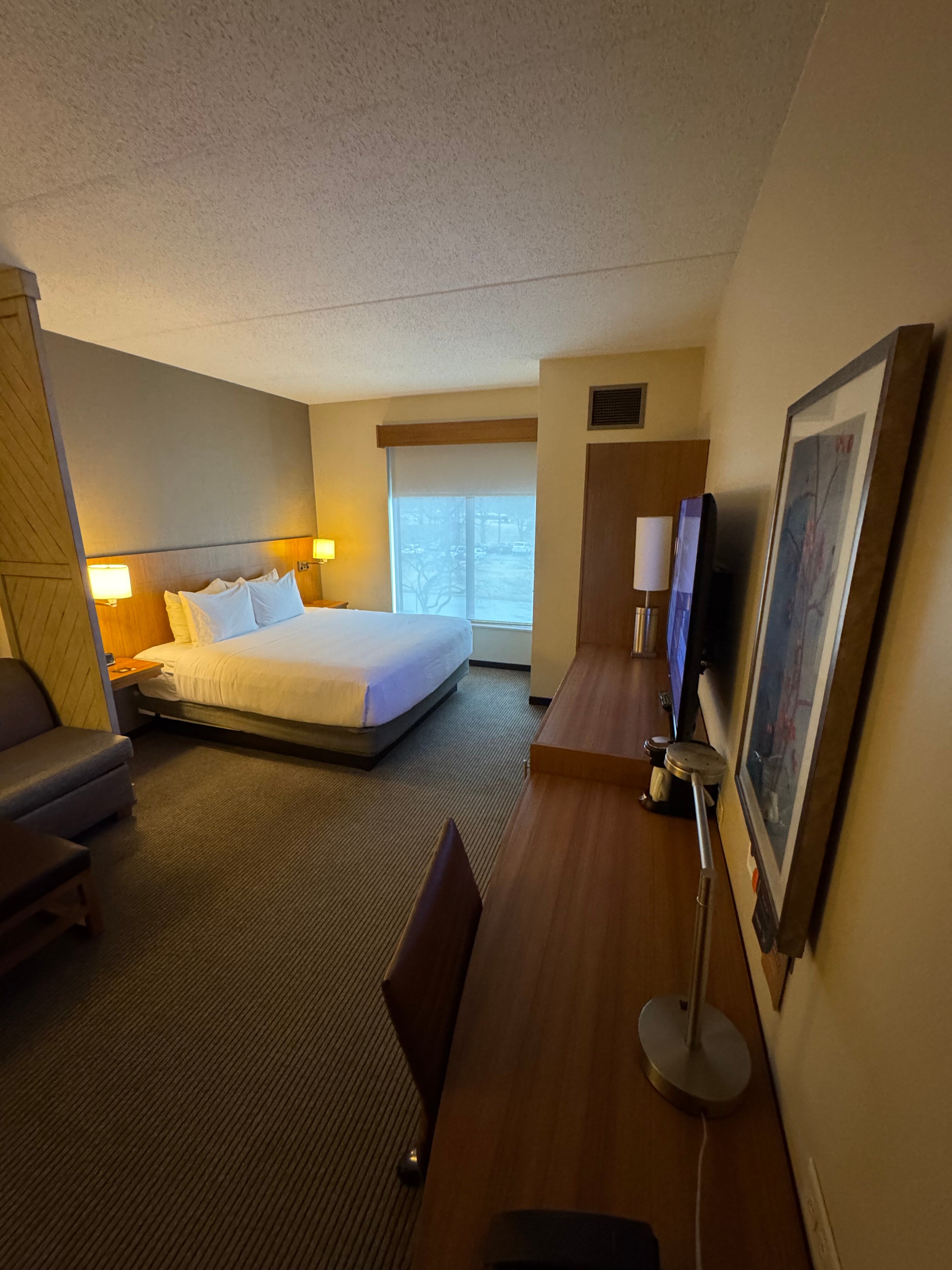 Hyatt Place Ann Arbor-客卧