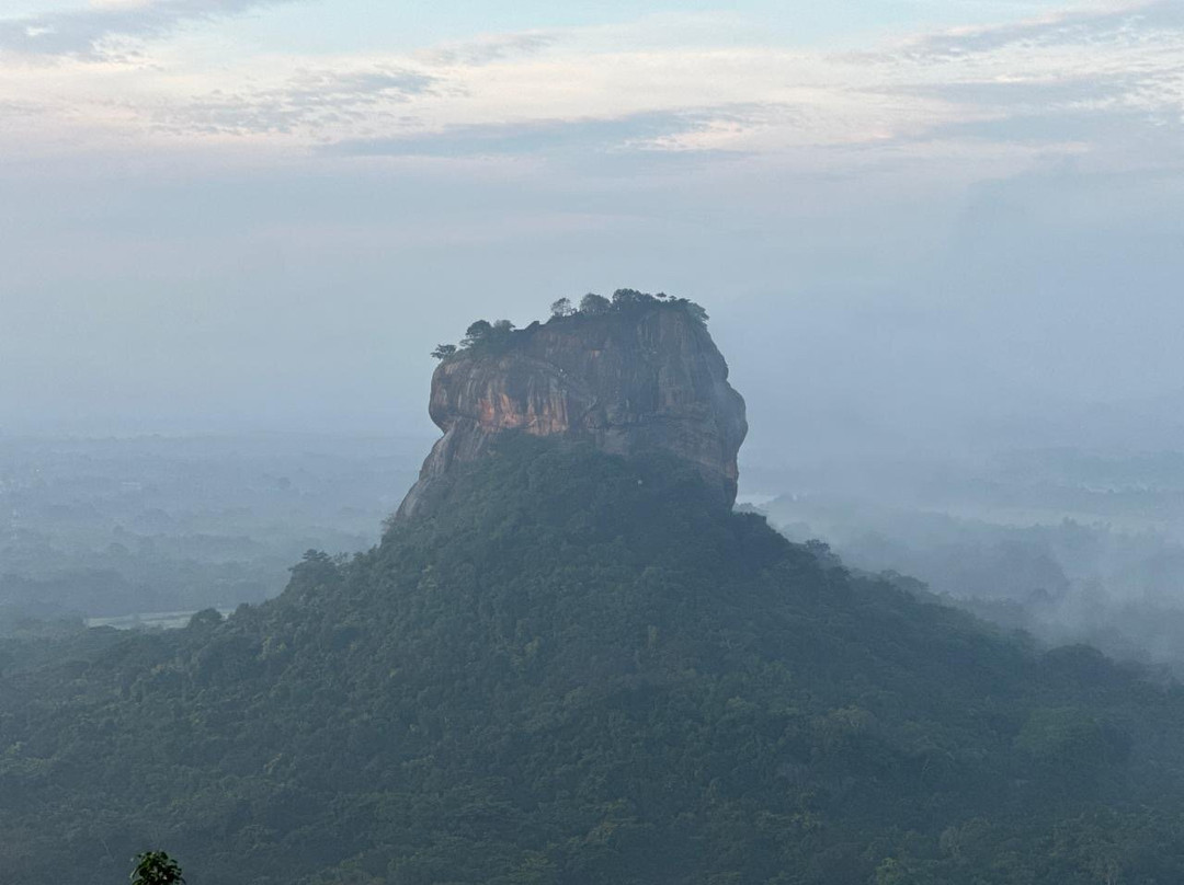 Amusing Lanka Tours景点图片