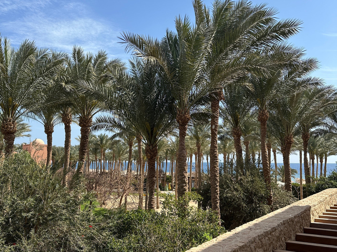 The Makadi Spa Hotel主图