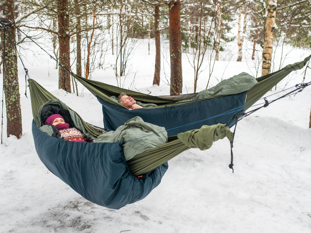 Soundforest - Sointumetsä-Keminmaa必去景点