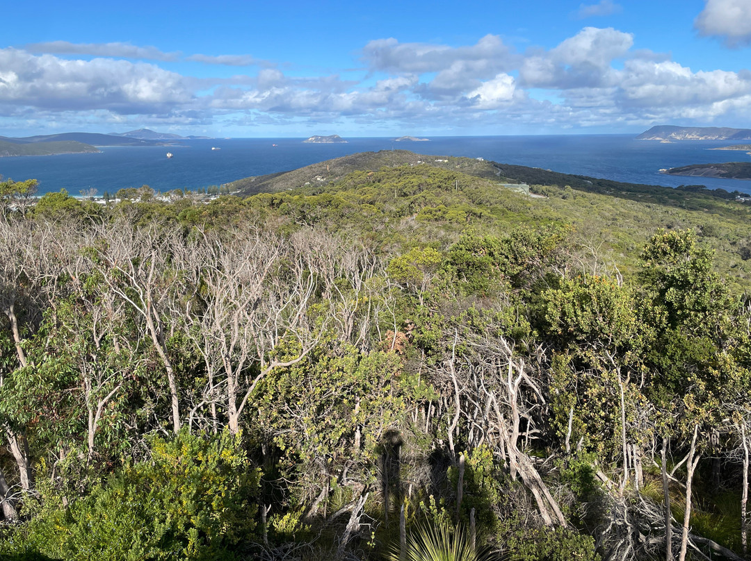 Padre White Lookout-奥尔巴尼必去景点