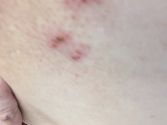 Red Roof PLUS+ & Suites Savannah - I-95主图