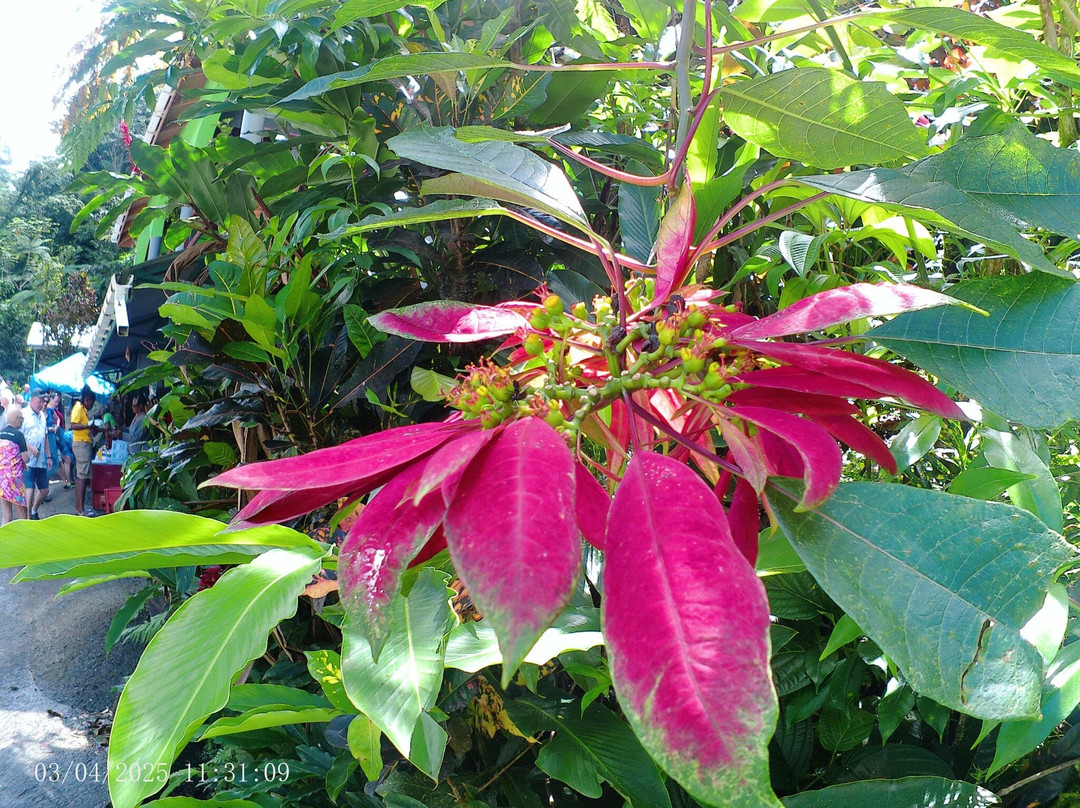 Wacky Rollers-罗索必去景点