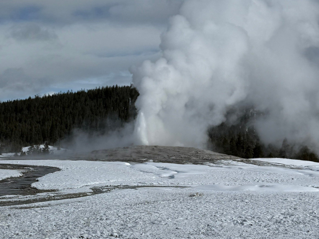 Scenic Safaris-杰克逊必去景点