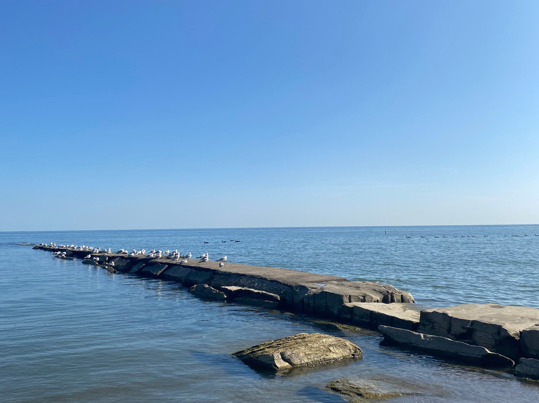 Huntington Beach-Bay Village必去景点