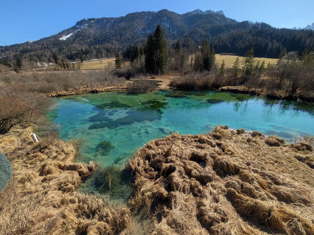 Bled Shuttle景点图片