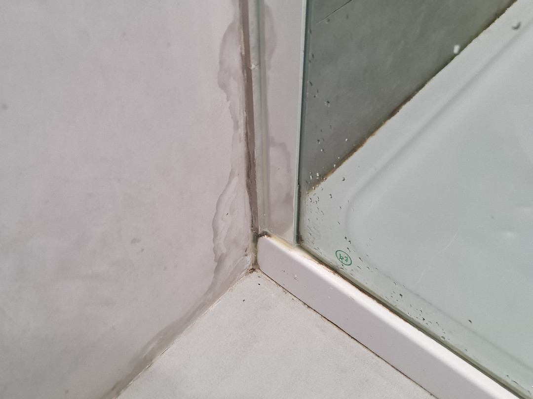 Casa Amarela Alojamento Local主图