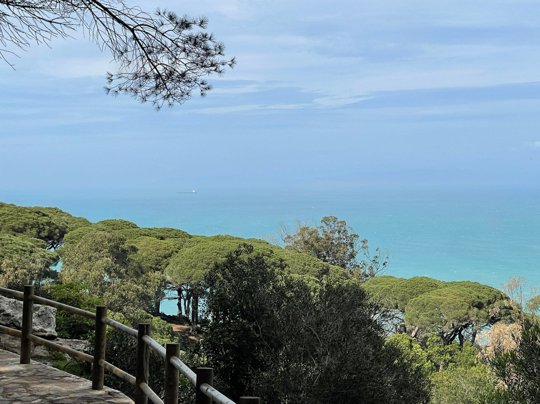 Parc Perdicaris-丹吉尔必去景点