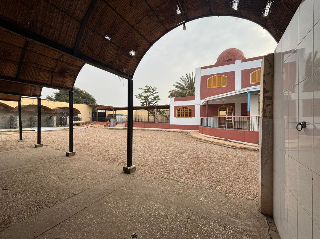 ACE - Animal Care in Egypt-卢克索必去景点