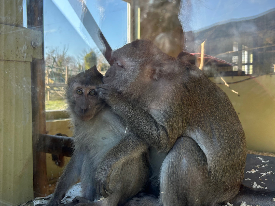 Curraghs Wildlife Park-Ballaugh必去景点
