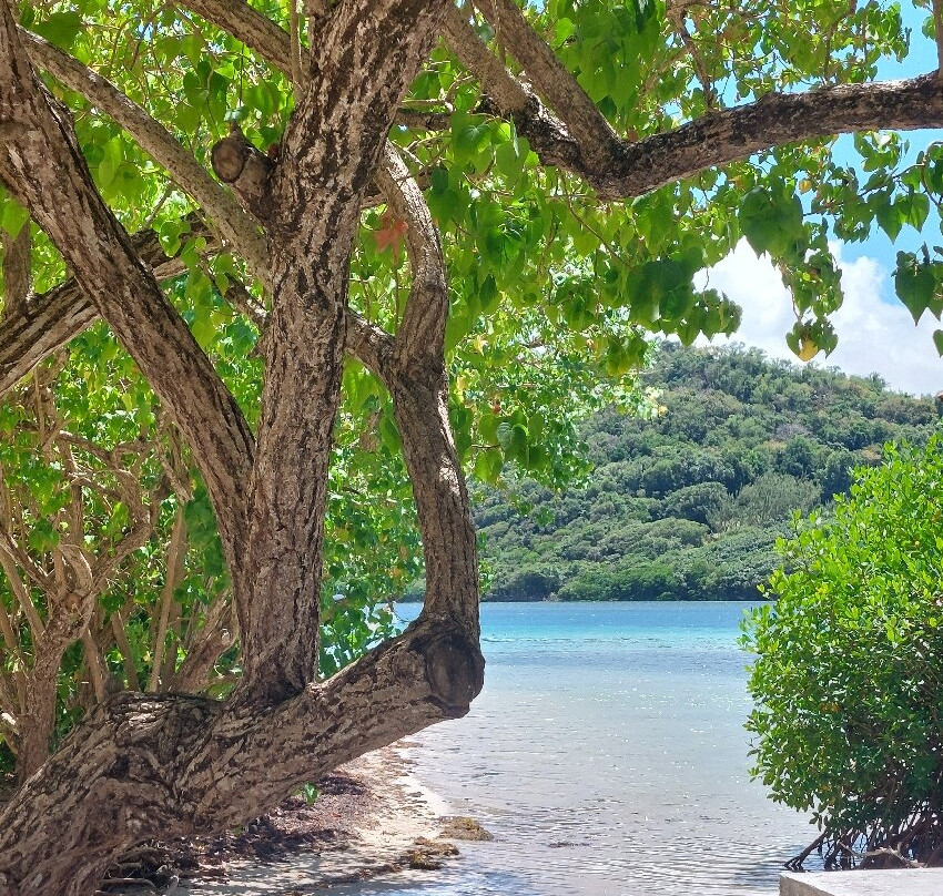 Royal Eagle-Le Robert必去景点