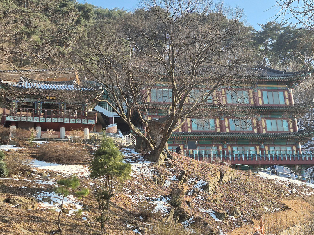 Seongbulsa Temple-天安市必去景点