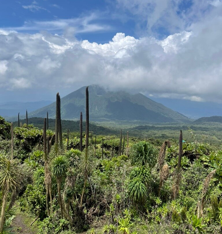 Beyond the Gorillas Experience-Ruhengeri必去景点