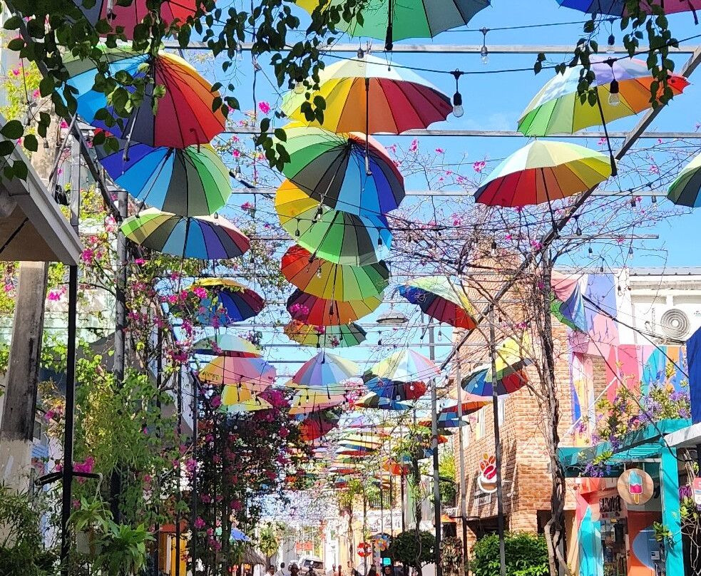 AligaTours-普拉塔港必去景点