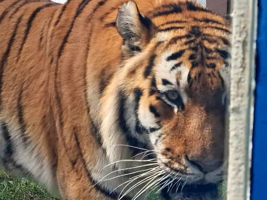 EcoZonia - Parc Animalier景点图片