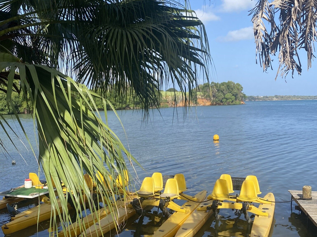 Mangrov Eco Tour-Sainte Rose必去景点