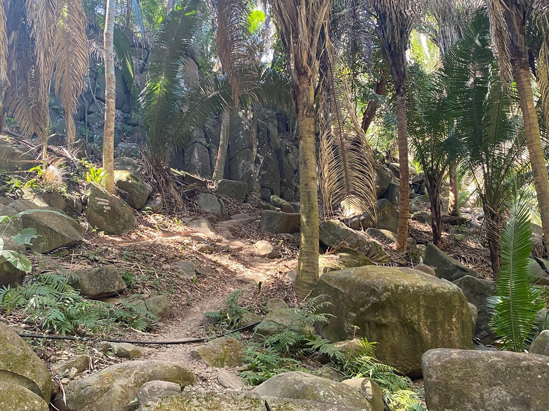 Mystic Embrace-Chacala必去景点