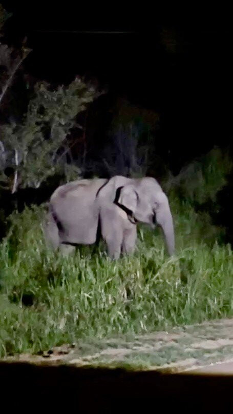 Sudath Safari and Tours Sri Lanka-锡吉里亚必去景点