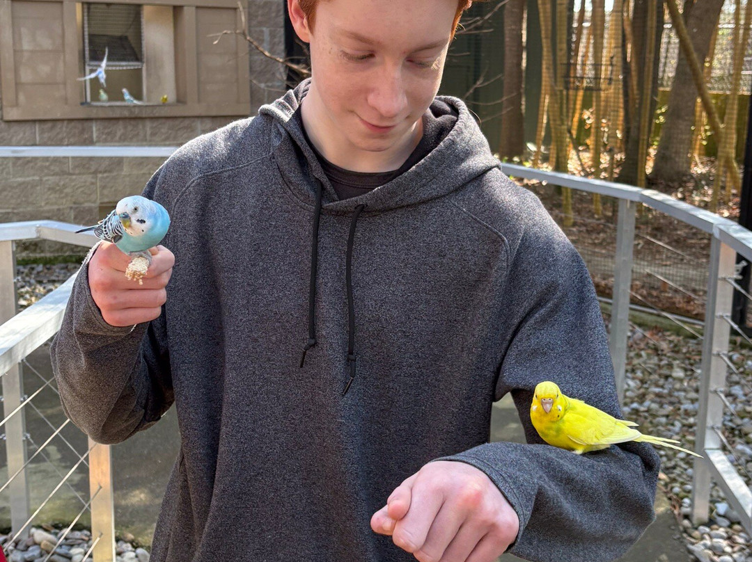 Sylvan Heights Bird Park-Scotland Neck必去景点